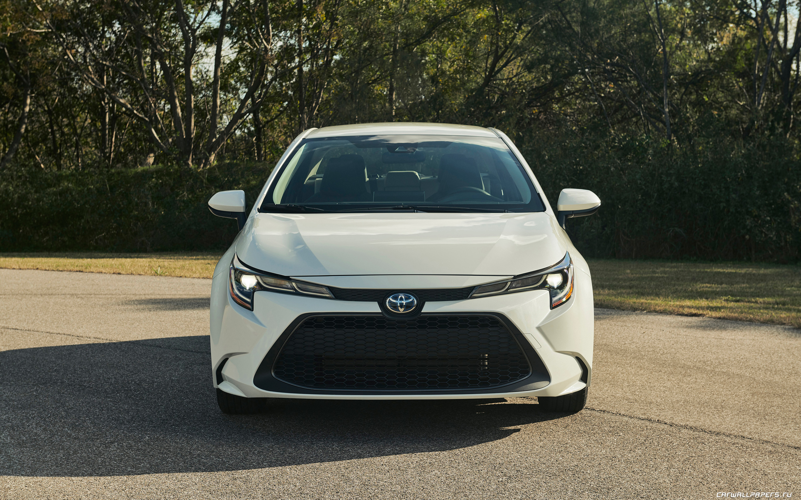 Toyota Corolla 2019 Hybrid